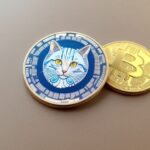 JoyCat Coin Surges